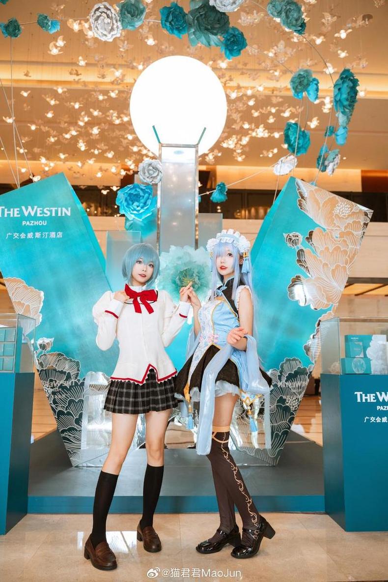 猫君君阿米娅的精美图片，细节展现猫咪的刚毅与柔美。